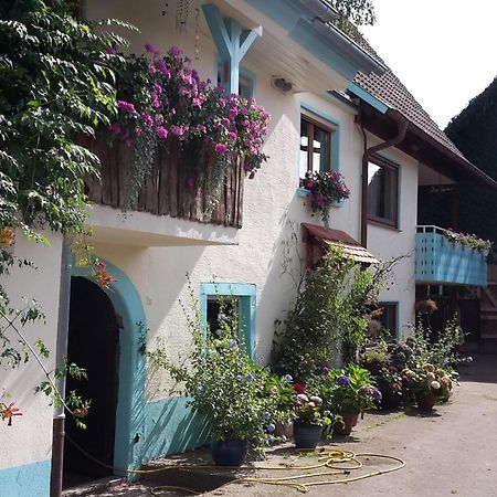 Rosenhof Broggingen Leilighet Herbolzheim Eksteriør bilde