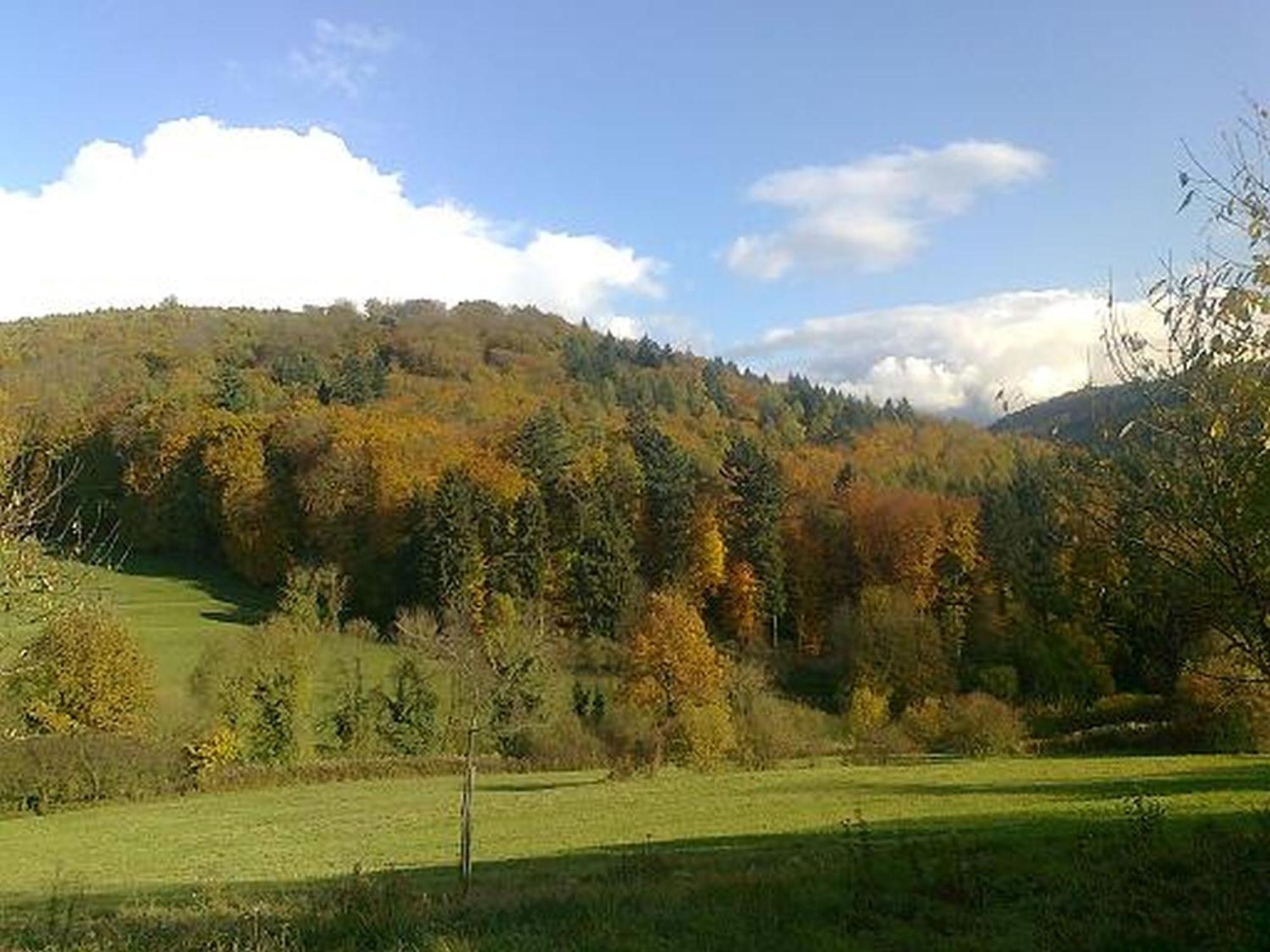 Rosenhof Broggingen Leilighet Herbolzheim Eksteriør bilde