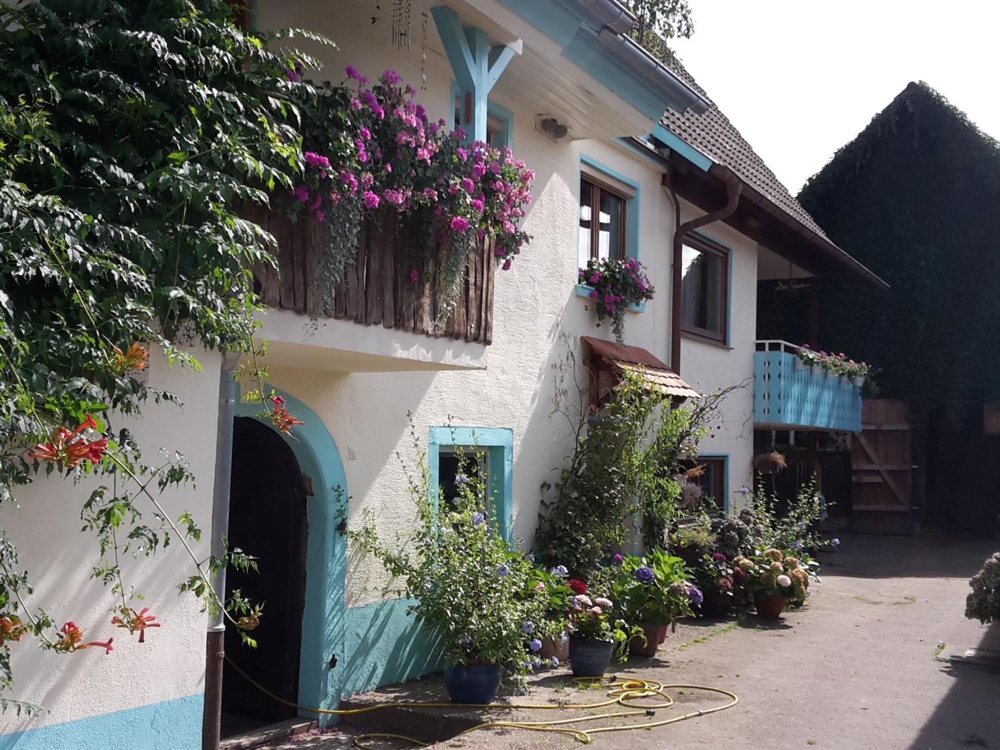 Rosenhof Broggingen Leilighet Herbolzheim Eksteriør bilde