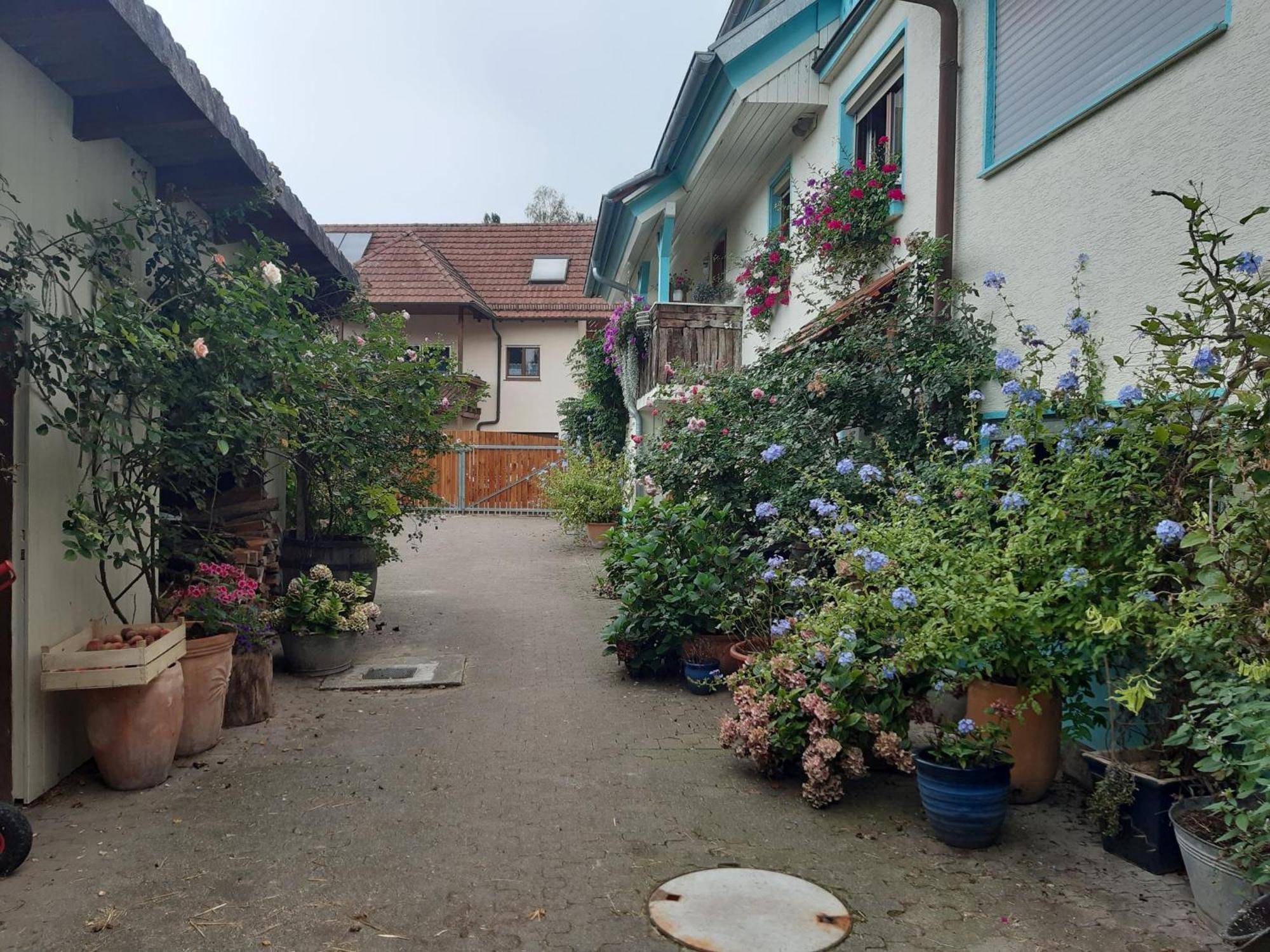 Rosenhof Broggingen Leilighet Herbolzheim Eksteriør bilde