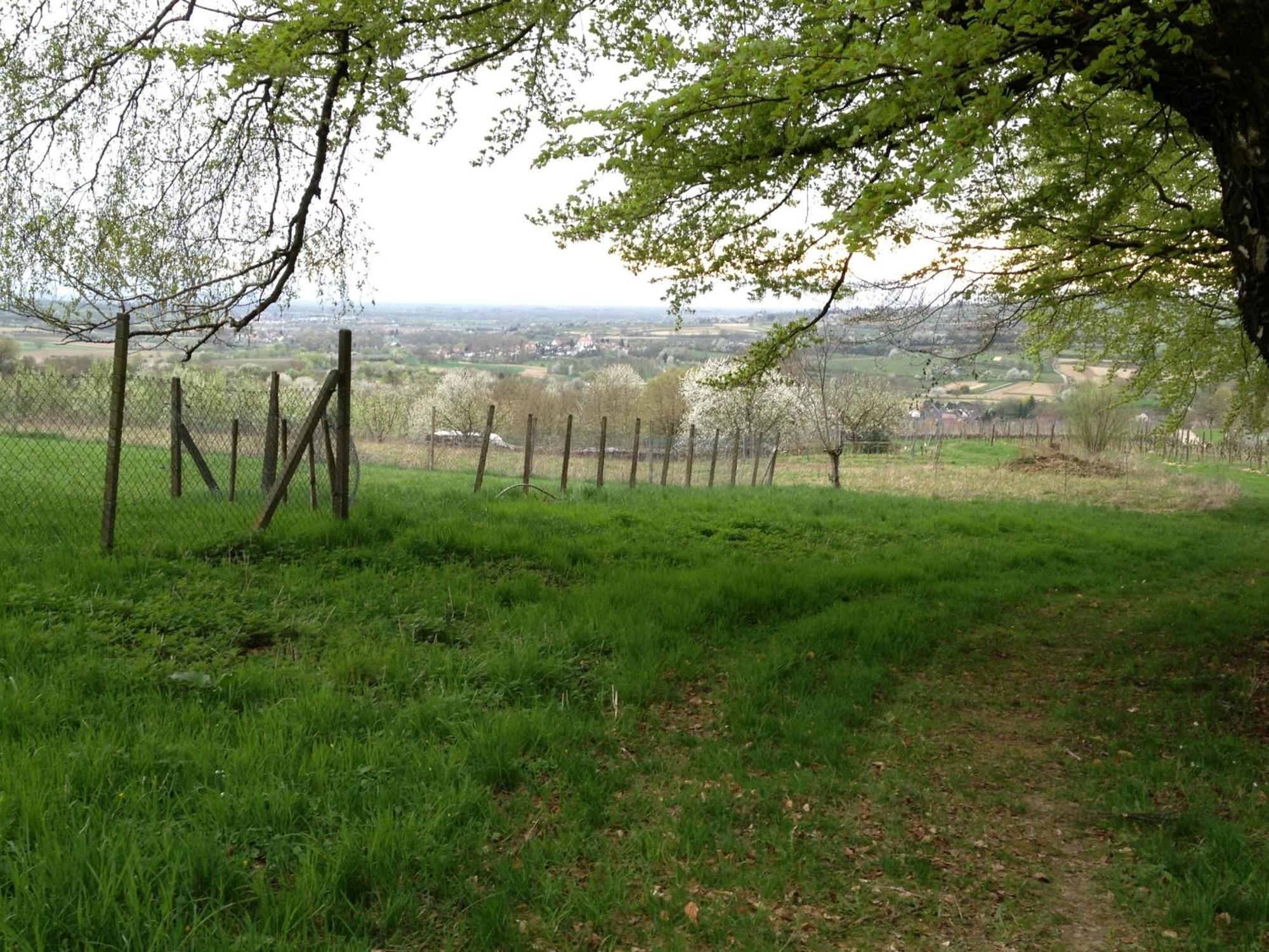Rosenhof Broggingen Leilighet Herbolzheim Eksteriør bilde